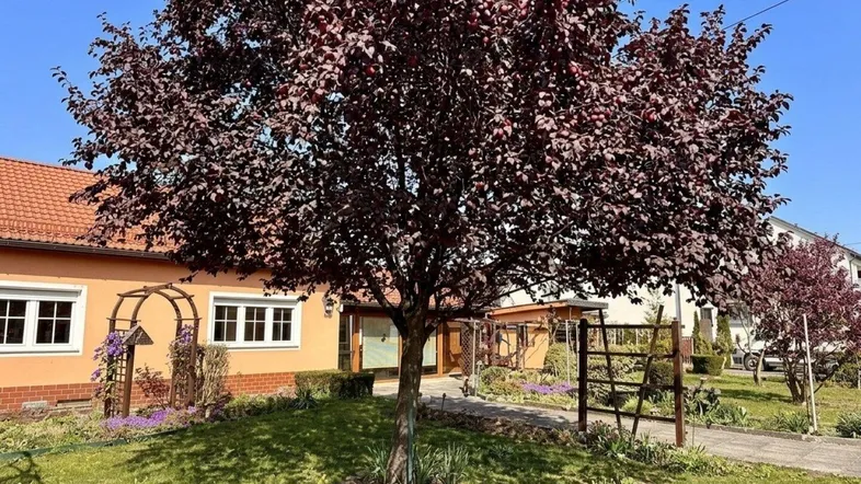 Vorderansicht des Hauses mit großem Baum, gepflegtem Rasen und blühenden Pflanzen im Vorgarten.