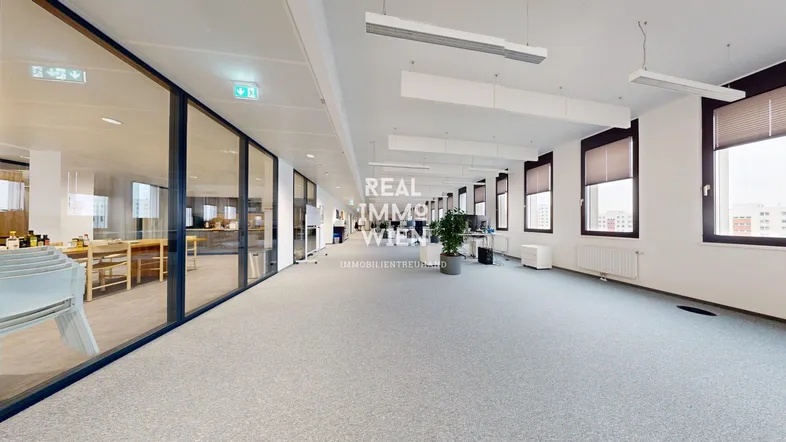Großes, offenes Büro mit Teppichboden, vielen Fenstern und Blick auf weitere Büroräume.