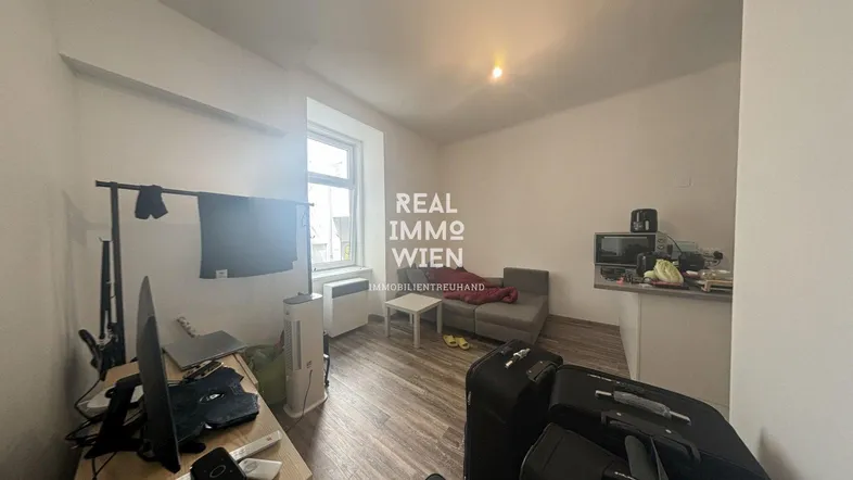 Heller Wohnbereich mit integrierter Küchenzeile, Sofa und Arbeitsplatz.