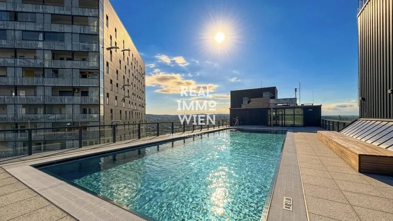 Dachpool mit weitem Blick über die Stadt und umliegende Gebäude an einem sonnigen Tag.