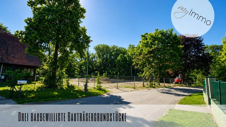 Sonniges Baugrundstück mit Baumbestand und Zufahrtsstraße, ideal für die Entwicklung von Wohnprojekten.