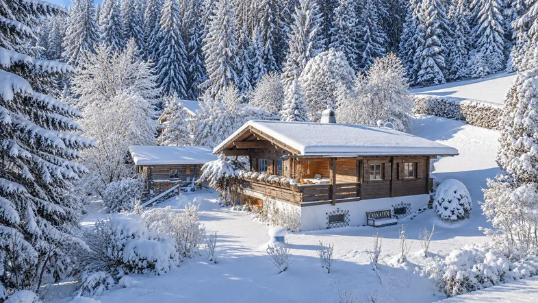 Gemütliches Holzhaus im verschneiten Winterwald, umgeben von hohen Tannen und weißem Schnee.