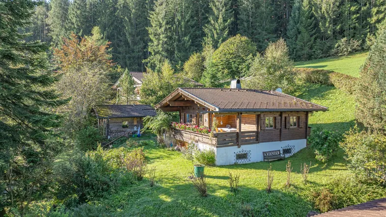 Charmantes Holzchalet in idyllischer, grüner Umgebung mit Wald und Wiesen, umgeben von Natur.