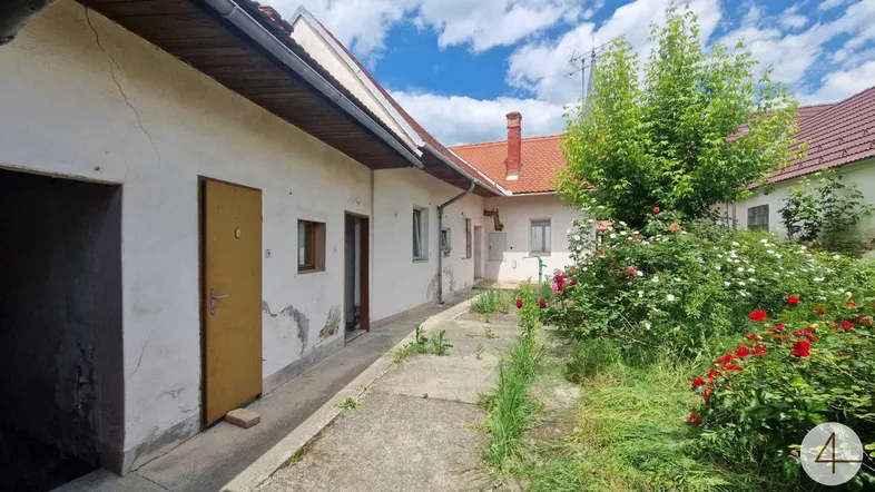 Außenansicht eines älteren Gebäudes mit einem gepflasterten Weg und blühenden Rosenbüschen im Vorgarten.