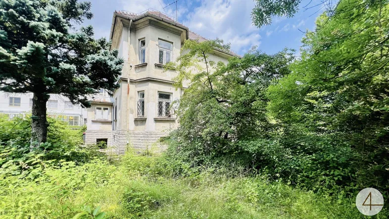 Altes Gebäude mit verwitterter Fassade, umgeben von üppiger, wilder Vegetation und Bäumen.