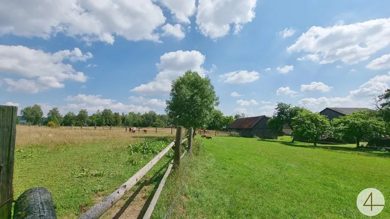 Weitläufige grüne Weide mit Pferden und traditionellen Scheunen im Hintergrund unter blauem Himmel.