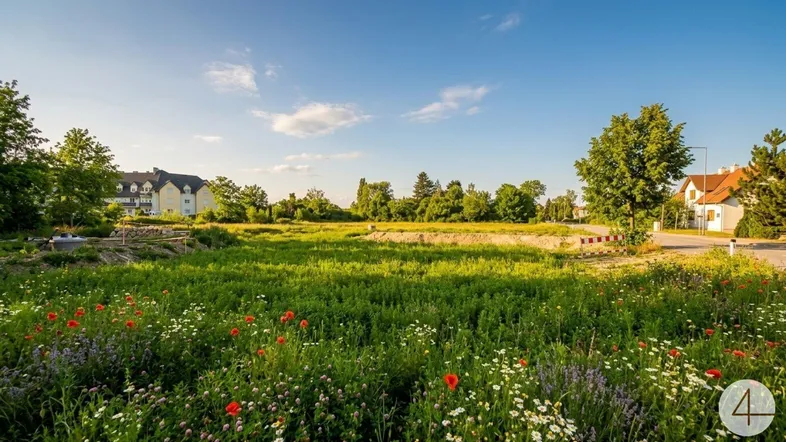 Weitläufiges grünes Feld mit bunten Wildblumen im Vordergrund und Wohnhäusern im Hintergrund unter blauem Himmel.