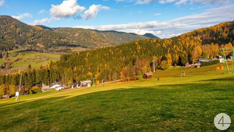 Weitläufige grüne Wiesenlandschaft mit herbstlichen Wäldern und Bergen im Hintergrund unter blauem Himmel.