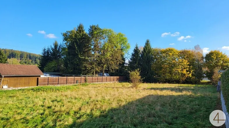 Weitläufiges Grundstück mit grüner Wiese, umgeben von Bäumen und einem Holzzaun unter blauem Himmel.