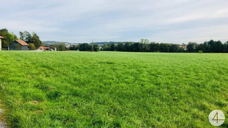 Weitläufige grüne Wiese mit vereinzelten Gebäuden und Bäumen im Hintergrund unter einem bewölkten Himmel.