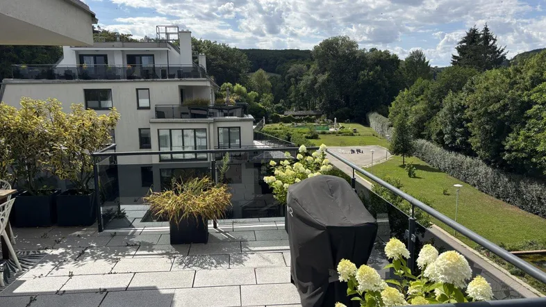 Geräumige Terrasse mit Fliesenboden, Pflanzen und Blick auf die grüne Umgebung und das Gebäude.