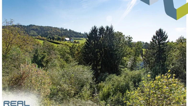 Weite grüne Hügellandschaft mit Bäumen und vereinzelten Häusern unter blauem Himmel.