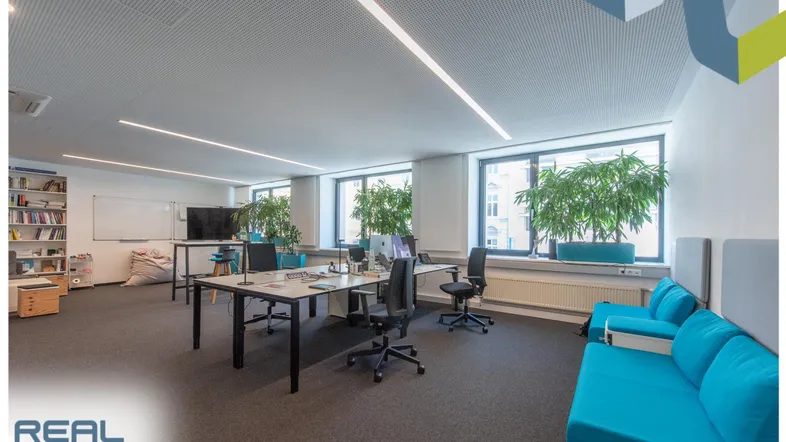 Großes, helles Büro mit mehreren Arbeitsplätzen, Teppichboden und Pflanzen vor den Fenstern.