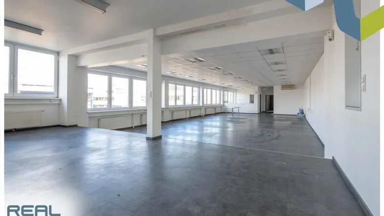 Großer, offener Büroraum mit vielen Fenstern, Säulen und Betonboden, ideal für flexible Arbeitsplatzgestaltung.