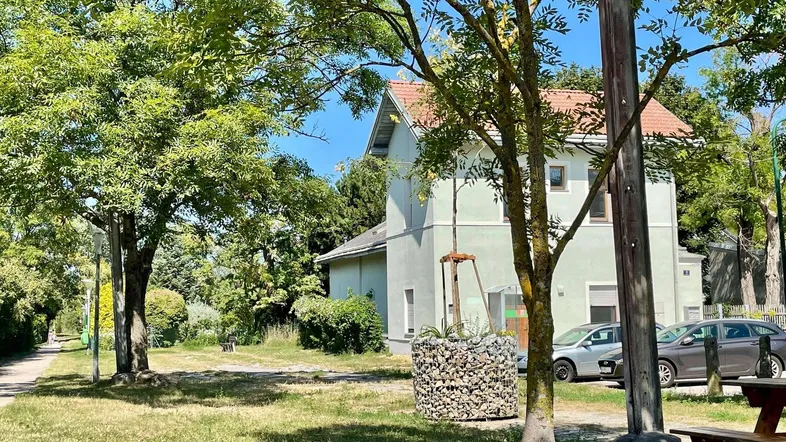 Grünes Gebäude mit rotem Ziegeldach, umgeben von Bäumen und einer Wiese an einem sonnigen Tag.