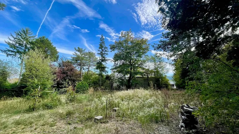 Weitläufiges Grundstück mit üppiger Vegetation und altem Baumbestand unter blauem Himmel.