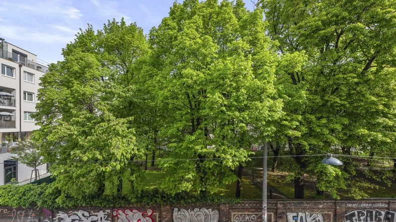 Blick auf grüne Bäume und eine mit Graffiti versehene Mauer vor einem modernen Wohngebäude.