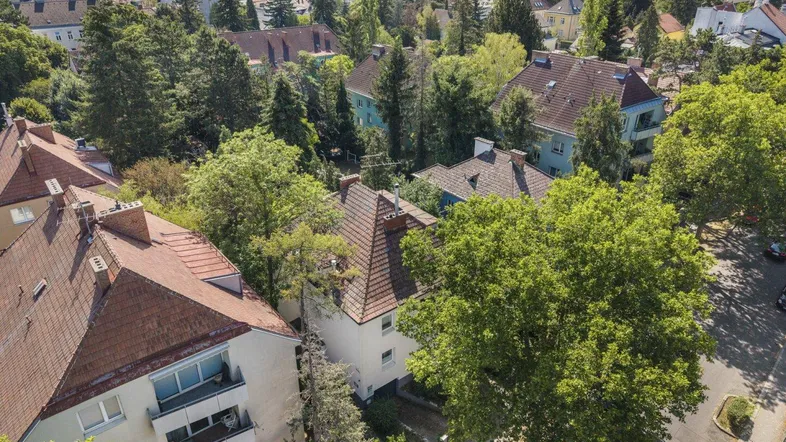 Luftaufnahme einer grünen Wohngegend mit vielen Bäumen und traditionellen Häusern.