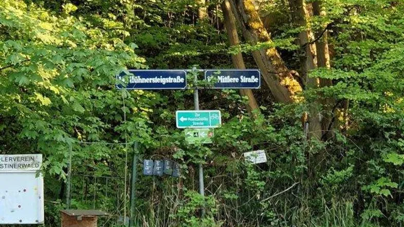 Straßenschilder an einer Kreuzung, die in einen dichten Wald führen, mit einem blauen Hydranten.