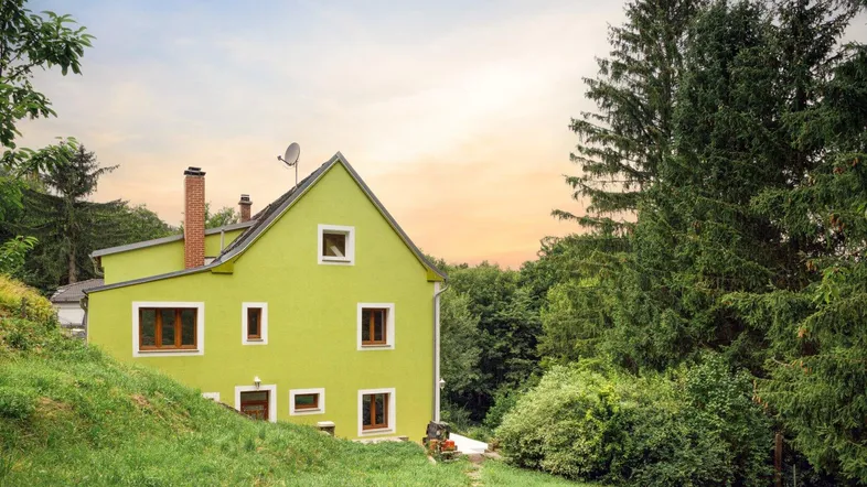 Grünes Haus mit Satteldach und braunen Fenstern, umgeben von üppiger Natur und Bäumen.