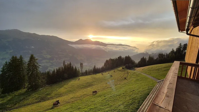Sonnenuntergang über den Bergen mit Blick auf grüne Wiesen und Kühe von einem Holzbalkon.