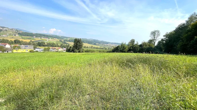 Weitläufiges grünes Feld mit Blick auf die umliegende Landschaft und Häuser in der Ferne.