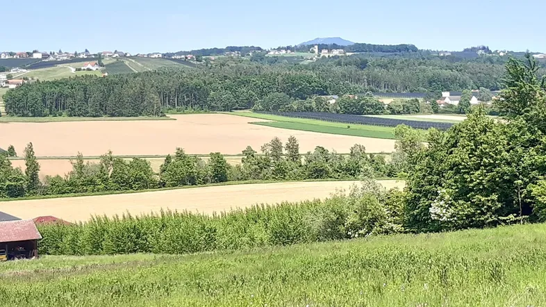Weitläufige Landschaft mit Feldern, Wäldern und einem Dorf in der Ferne unter blauem Himmel.