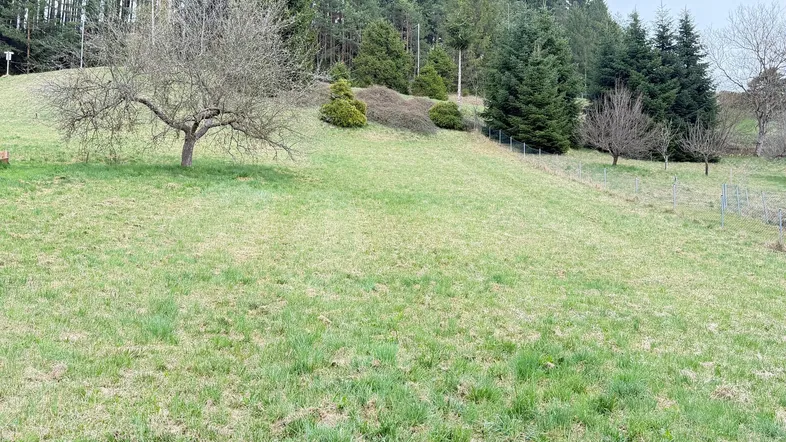Grüne Wiese mit leichtem Hang und Baumbestand im Hintergrund unter bewölktem Himmel.