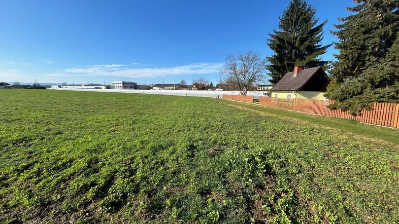 Weitläufiges grünes Feld unter blauem Himmel mit Blick auf entfernte Gebäude und Bäume.