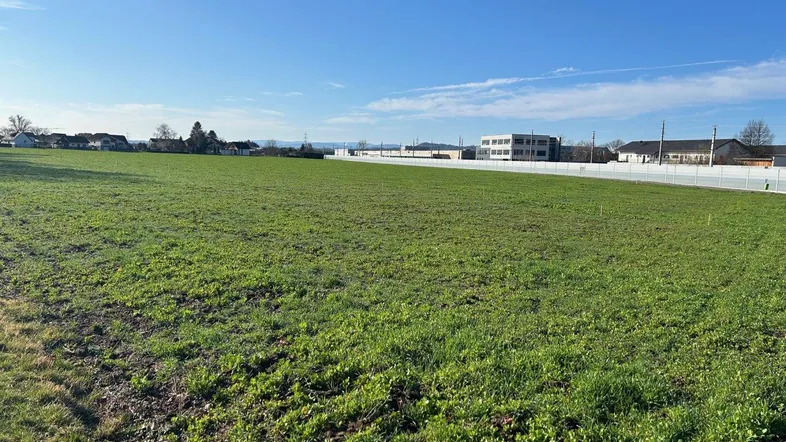 Weitläufige grüne Wiese unter blauem Himmel mit Gebäuden in der Ferne.