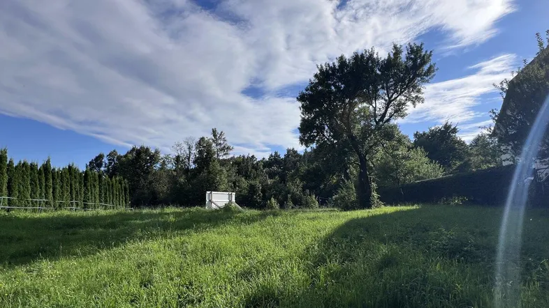 Weitläufige grüne Wiese unter blauem Himmel mit vereinzelten Bäumen und Hecken.