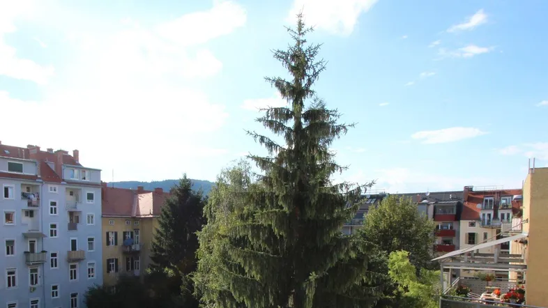 Blick von einem Balkon auf die umliegenden Gebäude, grüne Bäume und eine bergige Landschaft unter blauem Himmel.