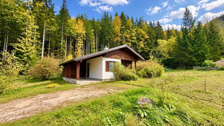 Gemütliches kleines Haus umgeben von Wald und Wiesen unter blauem Himmel.