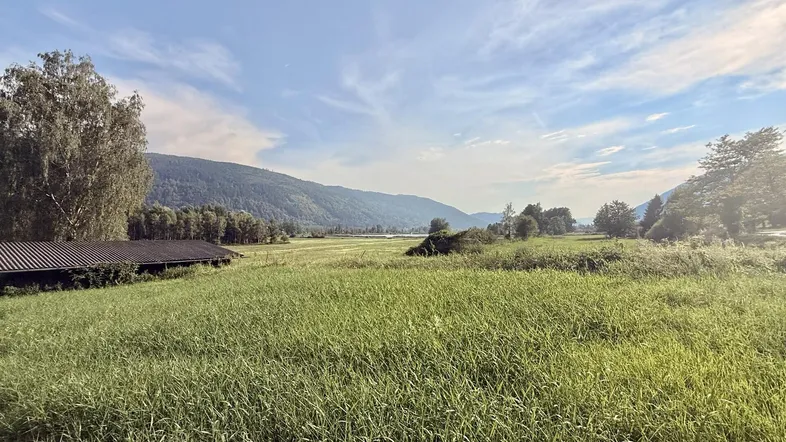 Weite grüne Wiesenlandschaft mit sanften Hügeln und einem kleinen Schuppen unter blauem Himmel.