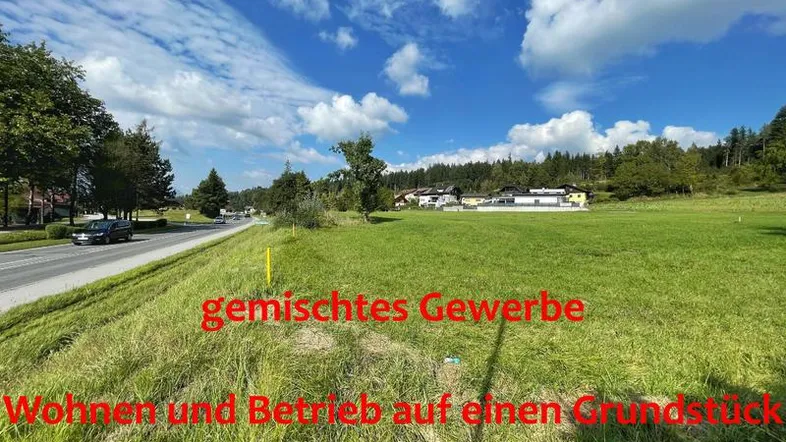 Blick auf ein grünes Grundstück neben einer Straße mit Häusern und Bäumen im Hintergrund unter blauem Himmel.