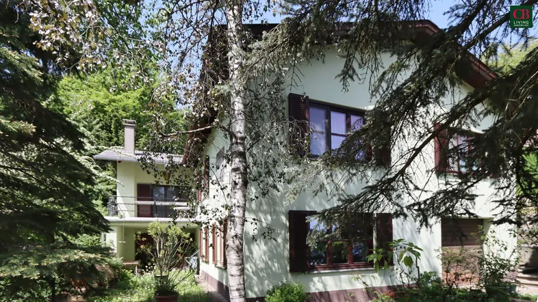 Grünes Haus, umgeben von hohen Bäumen und dichter Vegetation, mit Blick auf die Natur.