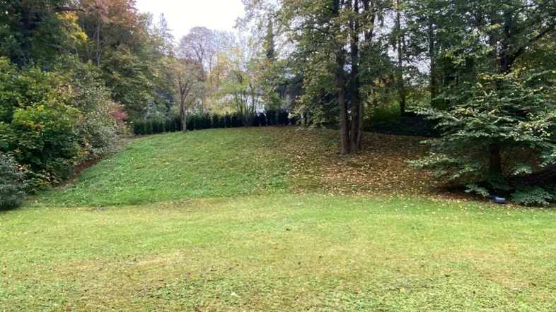 Große, grüne Rasenfläche umgeben von Bäumen und Sträuchern, ideal für einen weitläufigen Garten.