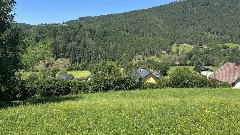 Weitläufige grüne Wiesenlandschaft mit Blick auf bewaldete Hügel und vereinzelte Häuser unter blauem Himmel.