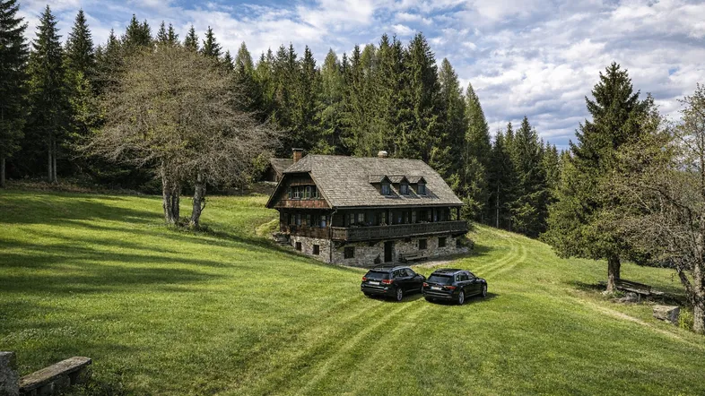 Traditionelles Holzhaus in alpiner Landschaft mit weitläufiger Wiese und umgeben von Nadelbäumen.