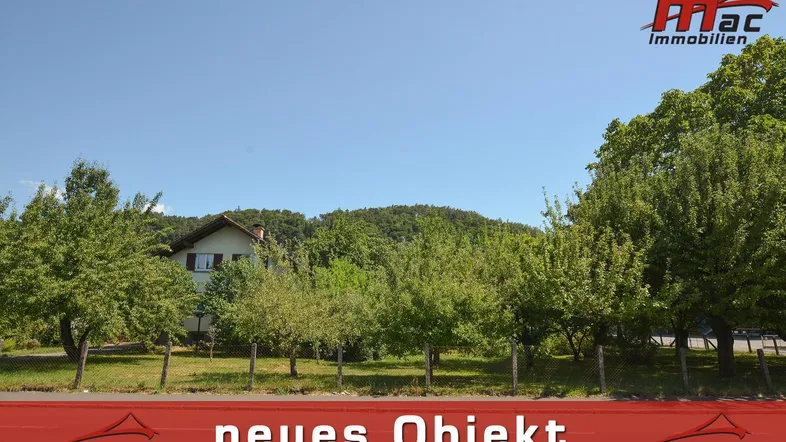 Ländliches Anwesen umgeben von viel Grün und Obstbäumen unter blauem Himmel.