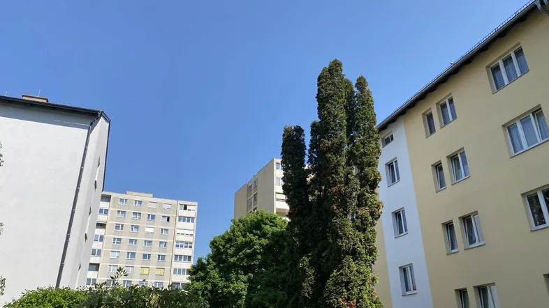 Mehrere Wohngebäude unter blauem Himmel mit Bäumen im Vordergrund und klarer Sicht.