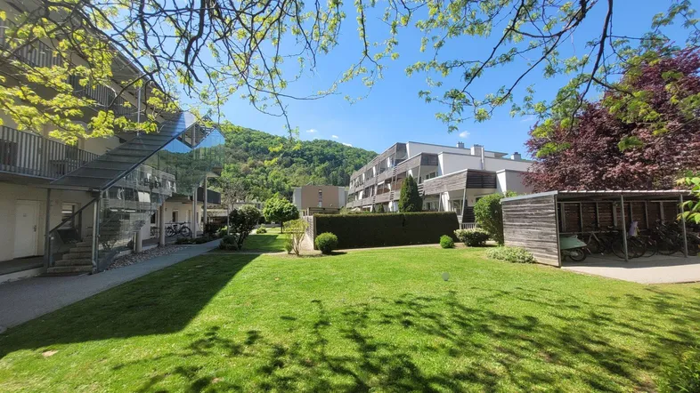 Sonnenverwöhnter Gemeinschaftsgarten mit Rasenfläche, Bäumen und modernen Wohngebäuden im Hintergrund.