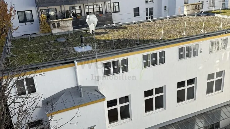 Ansicht der Gebäuderückseite mit begrüntem Flachdach und Innenhofbereich.