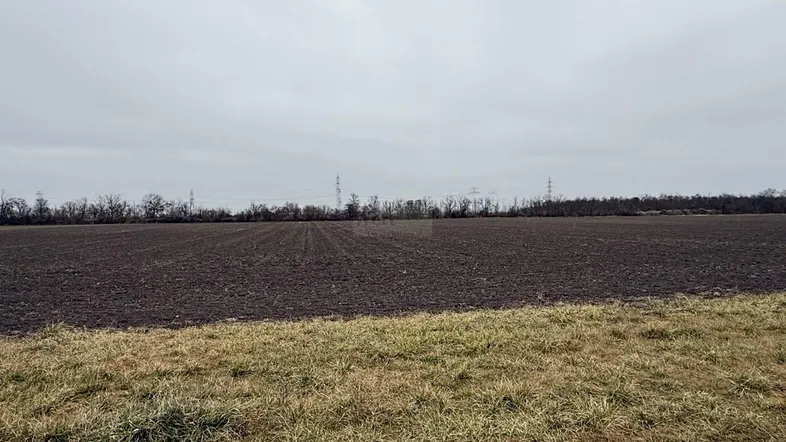 Weite Ackerlandschaft unter einem bewölkten Himmel mit Bäumen und Stromleitungen am Horizont.