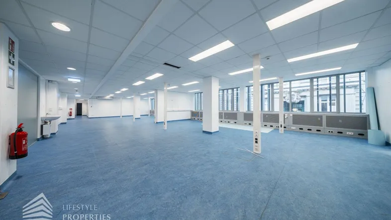 Geräumiger, leerer Büroraum mit blauen Bodenbelag, großen Fenstern und einer abgehängten Decke.