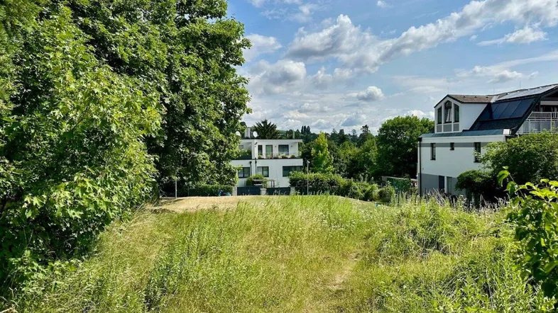 Unbebautes Grundstück mit üppiger grüner Vegetation und modernen Gebäuden im Hintergrund unter blauem Himmel.