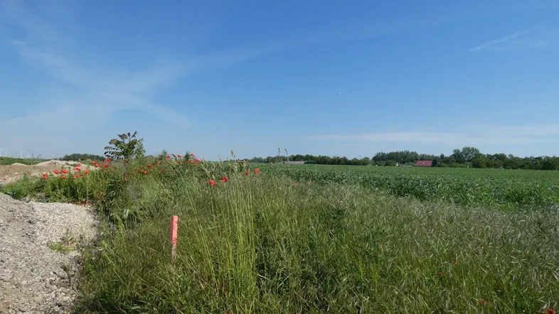 Weite Felder und blauer Himmel unterstreichen die ländliche Umgebung des Grundstücks.