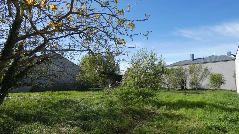 Grüne Gartenfläche mit Bäumen und umliegenden Gebäuden unter blauem Himmel.