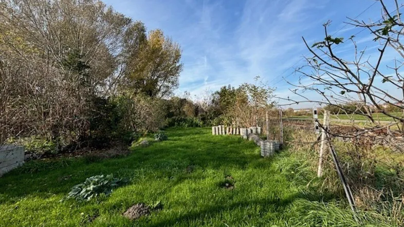 Grüne Gartenfläche mit Bäumen und Sträuchern unter blauem Himmel.