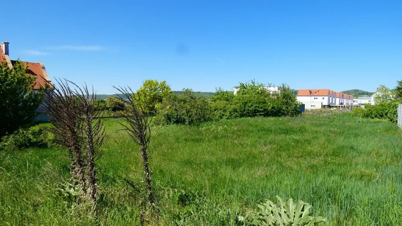 Weitläufige Grünfläche mit Blick auf umliegende Häuser und die Landschaft unter blauem Himmel.
